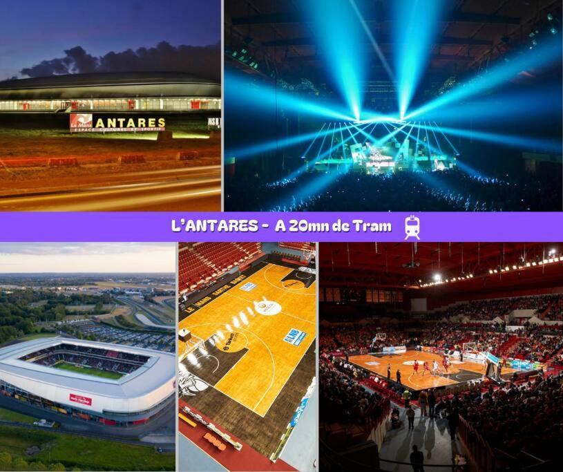 Flexy - T2 - L' Agate Grise - Le Mans Apartman Kültér fotó
